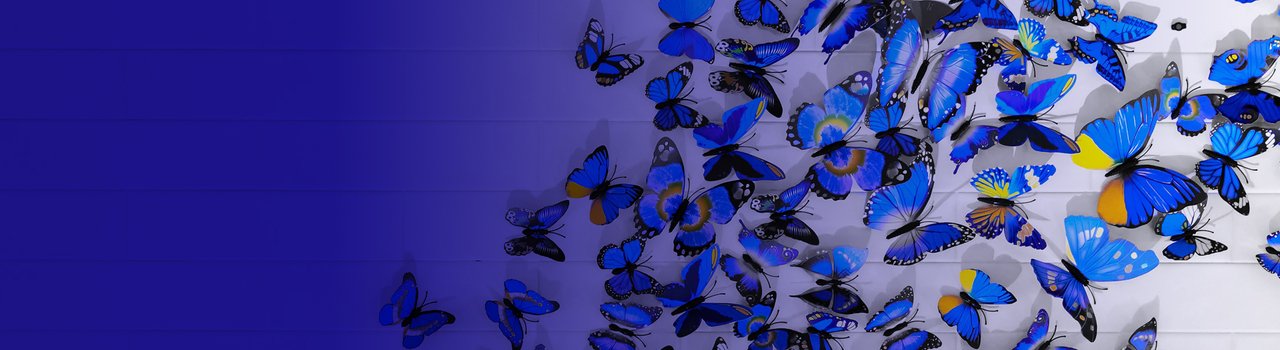 AboutUs_Banner