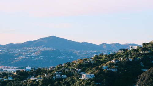 adana-hulett-ZB74i9gDyZc-unsplash.jpg