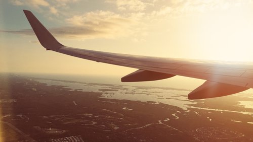 Plane wing