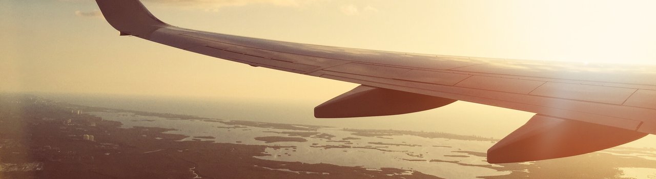 Plane wing