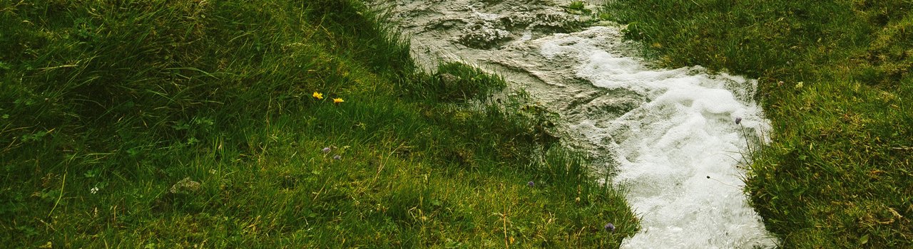 AlyceLysaght_Banner
