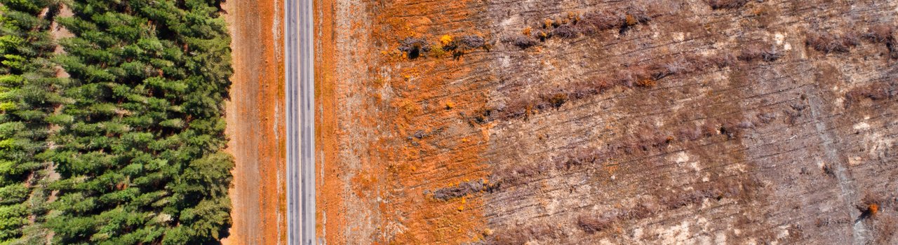 Bioenergy