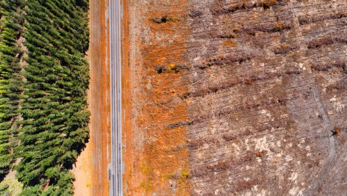 Bioenergy