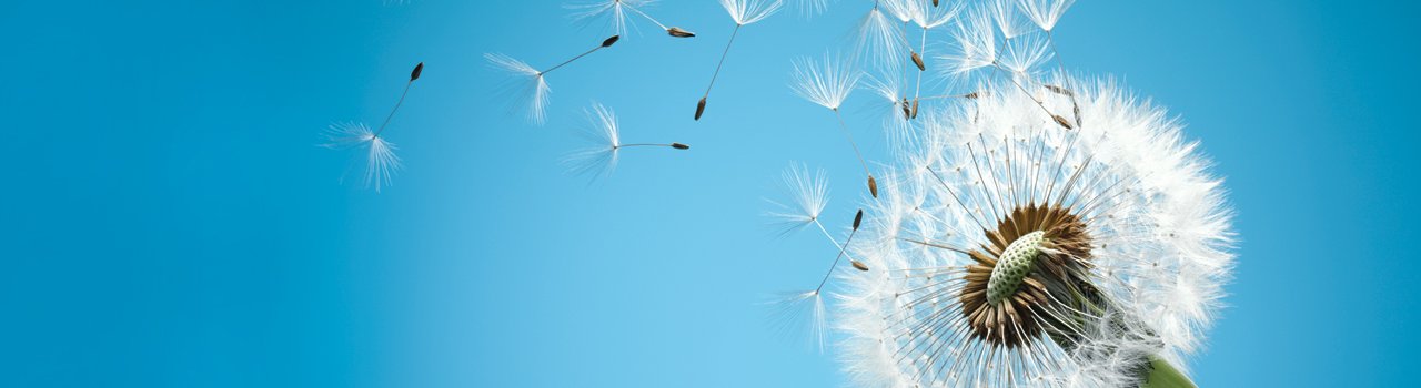 EG21_Wind_Banner