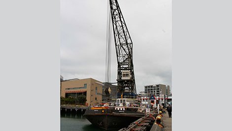 Hikitia-1