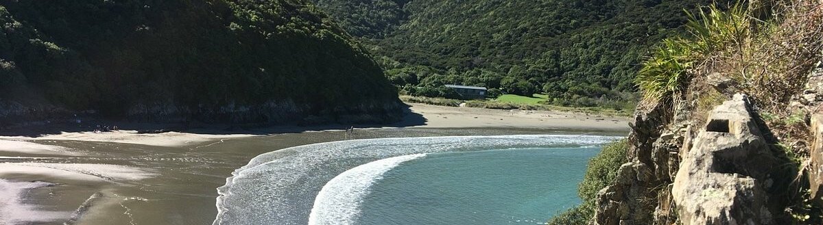 large-whites-bay