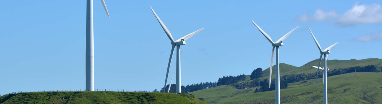 Manawatu Branch