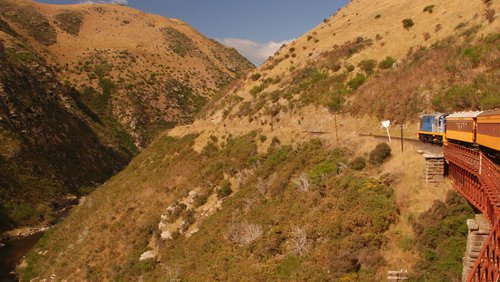 Otago Branch