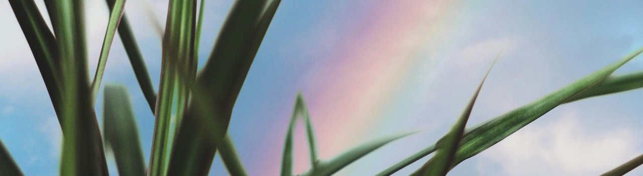 RSIG Banner (1)