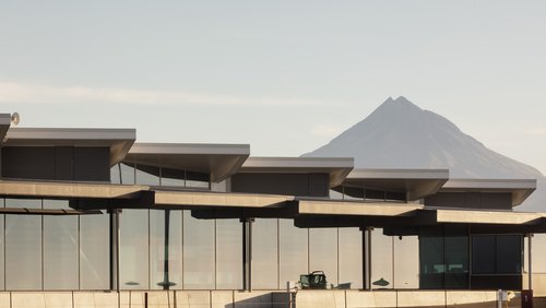 TE HONO_4772.jpg