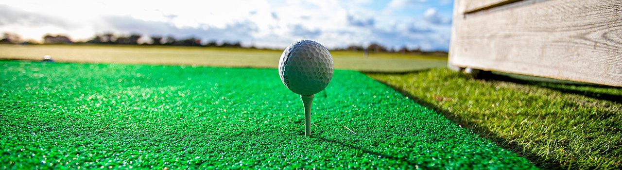 ye_driving-range_Nov-21_wagtail.jpg