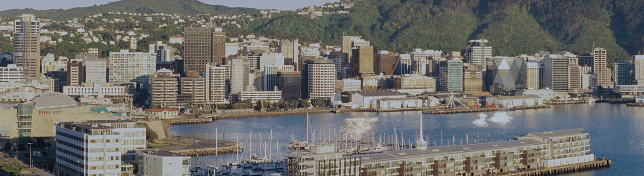 wellington